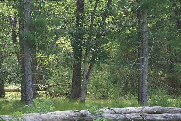 12.6 Acres of Land for Sale in Whitehall, Michigan