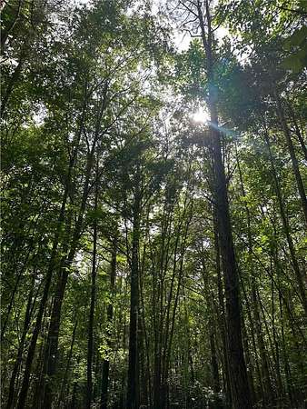 9.3 Acres of Mixed-Use Land for Sale in Pelzer, South Carolina