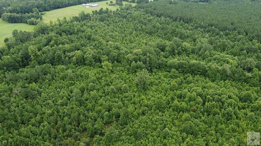 28 Acres of Land for Sale in Simms, Texas