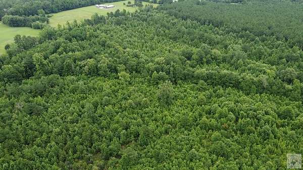 28 Acres of Land for Sale in Simms, Texas