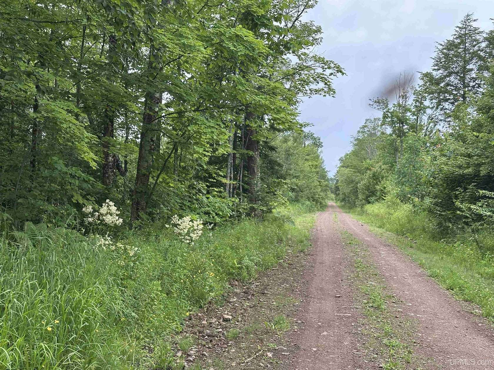 120 Acres of Land for Sale in Wakefield, Michigan