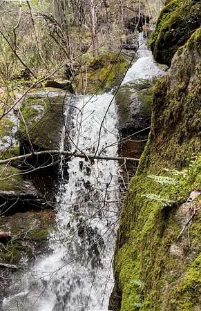12 Acres of Land for Sale in Camptonville, California