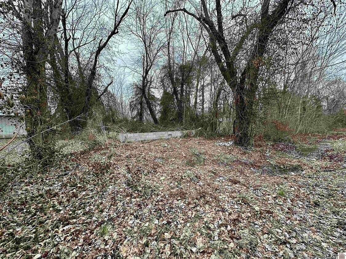 0.23 Acres of Residential Land for Sale in Gilbertsville, Kentucky