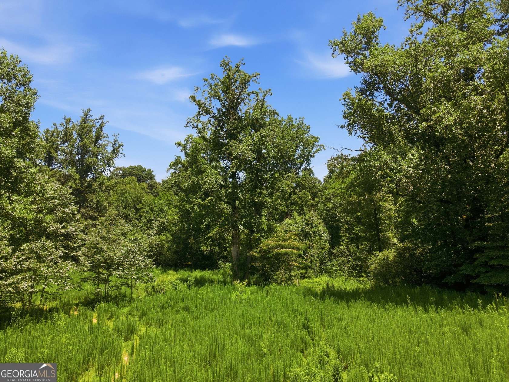 25 Acres of Land for Sale in Mount Airy, Georgia