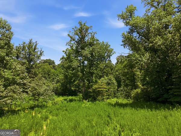 25 Acres of Land for Sale in Mount Airy, Georgia