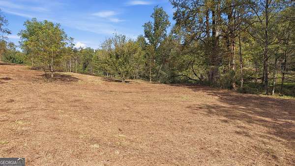 25 Acres of Land for Sale in Mount Airy, Georgia