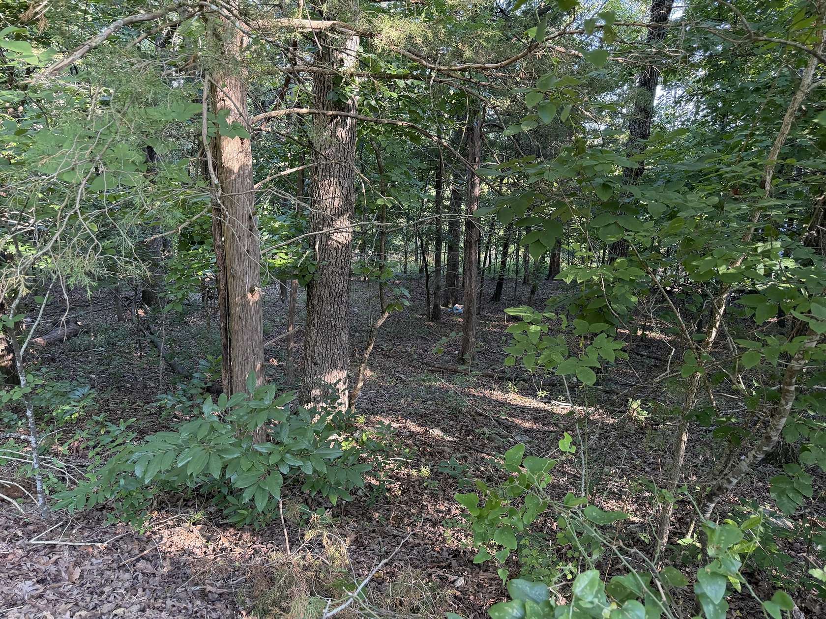 0.21 Acres of Residential Land for Sale in Rockaway Beach, Missouri
