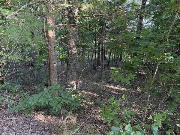 0.21 Acres of Residential Land for Sale in Rockaway Beach, Missouri