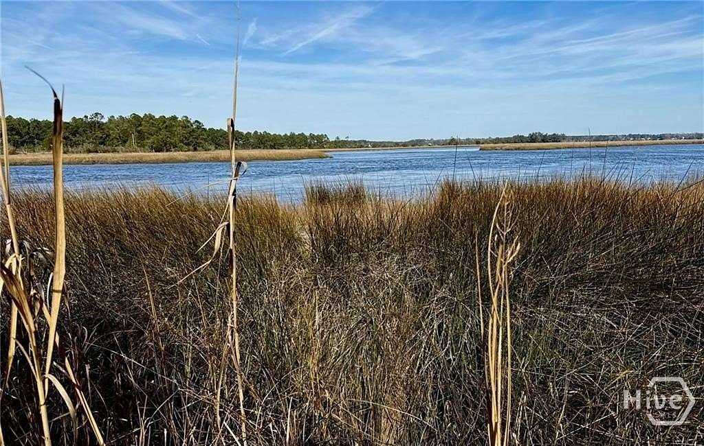 1 Acre of Residential Land for Sale in Midway, Georgia