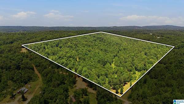 41 Acres of Recreational & Residential Land for Sale in Hayden, Alabama