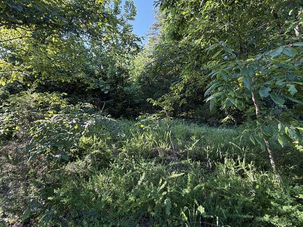 0.2 Acres of Residential Land for Sale in Rockaway Beach, Missouri