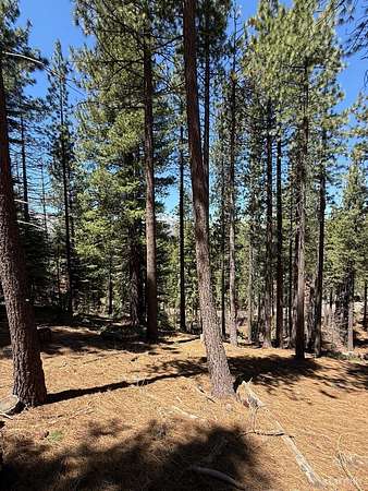 0.45 Acres of Residential Land for Sale in South Lake Tahoe, California