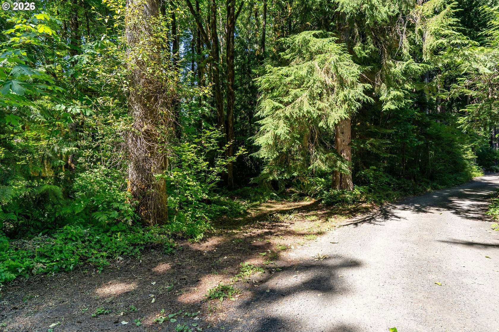 0.58 Acres of Residential Land for Sale in Rhododendron, Oregon