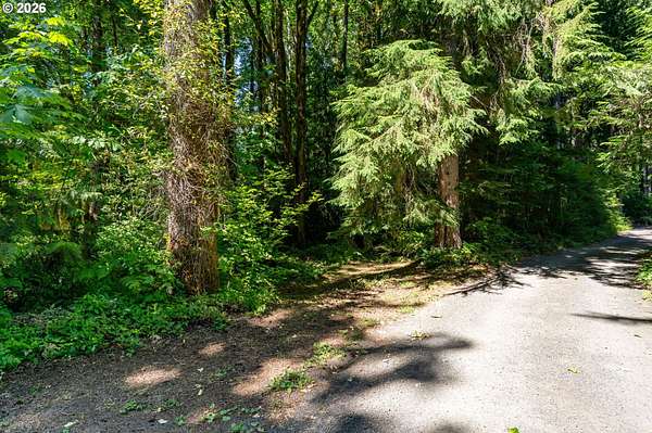 0.58 Acres of Residential Land for Sale in Rhododendron, Oregon