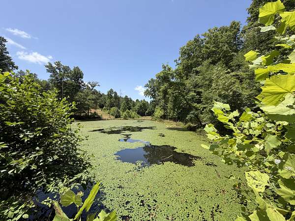 156 Acres of Land for Sale in Hohenwald, Tennessee