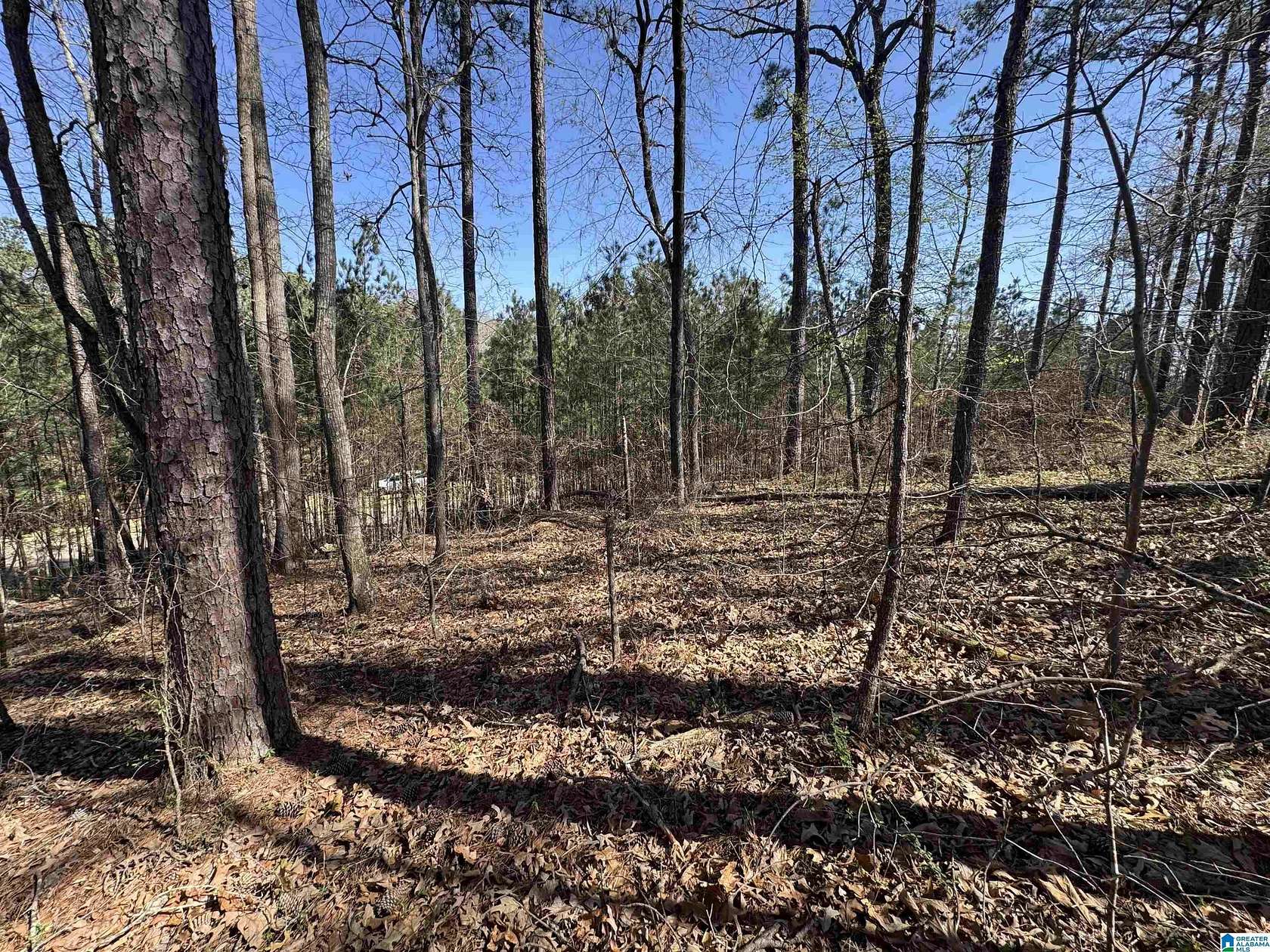 0.38 Acres of Residential Land for Sale in Vincent, Alabama