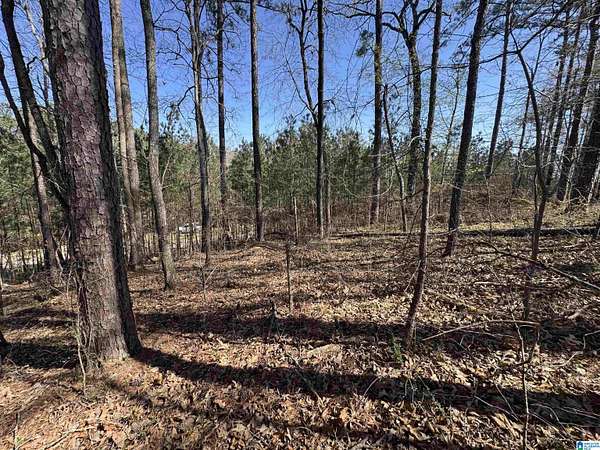 0.38 Acres of Residential Land for Sale in Vincent, Alabama
