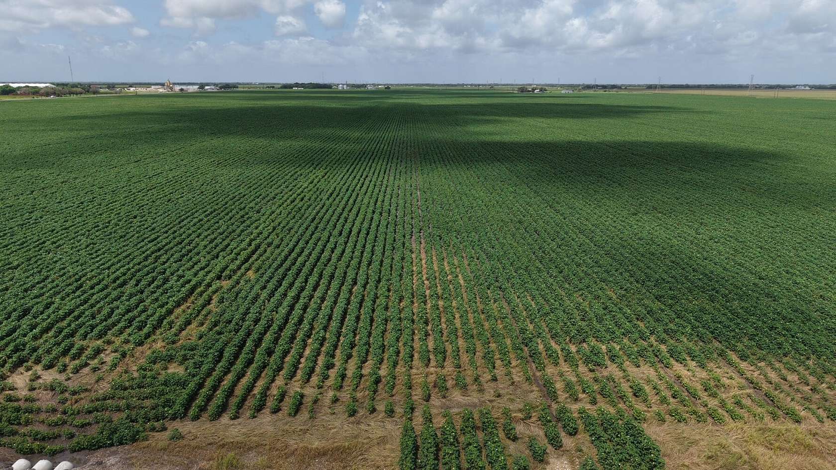 398 Acres of Land for Sale in Port Lavaca, Texas