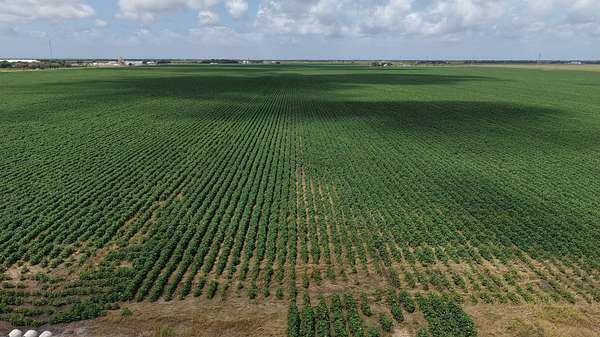 398 Acres of Land for Sale in Port Lavaca, Texas