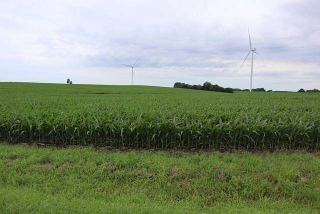 118 Acres of Agricultural Land for Sale in Walnut, Illinois