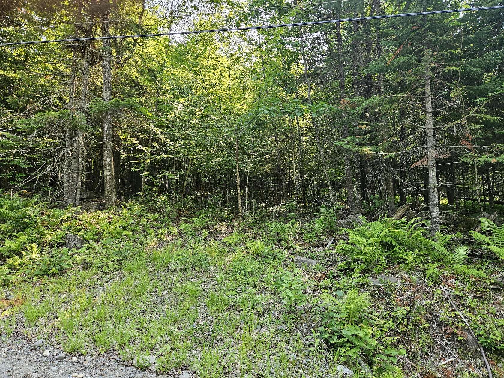 1.4 Acres of Residential Land for Sale in Brownville, Maine
