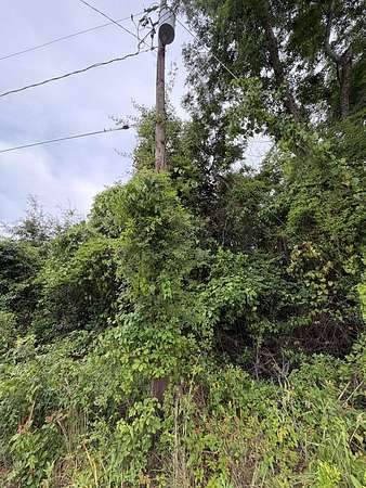 0.14 Acres of Residential Land for Sale in Eufaula, Alabama