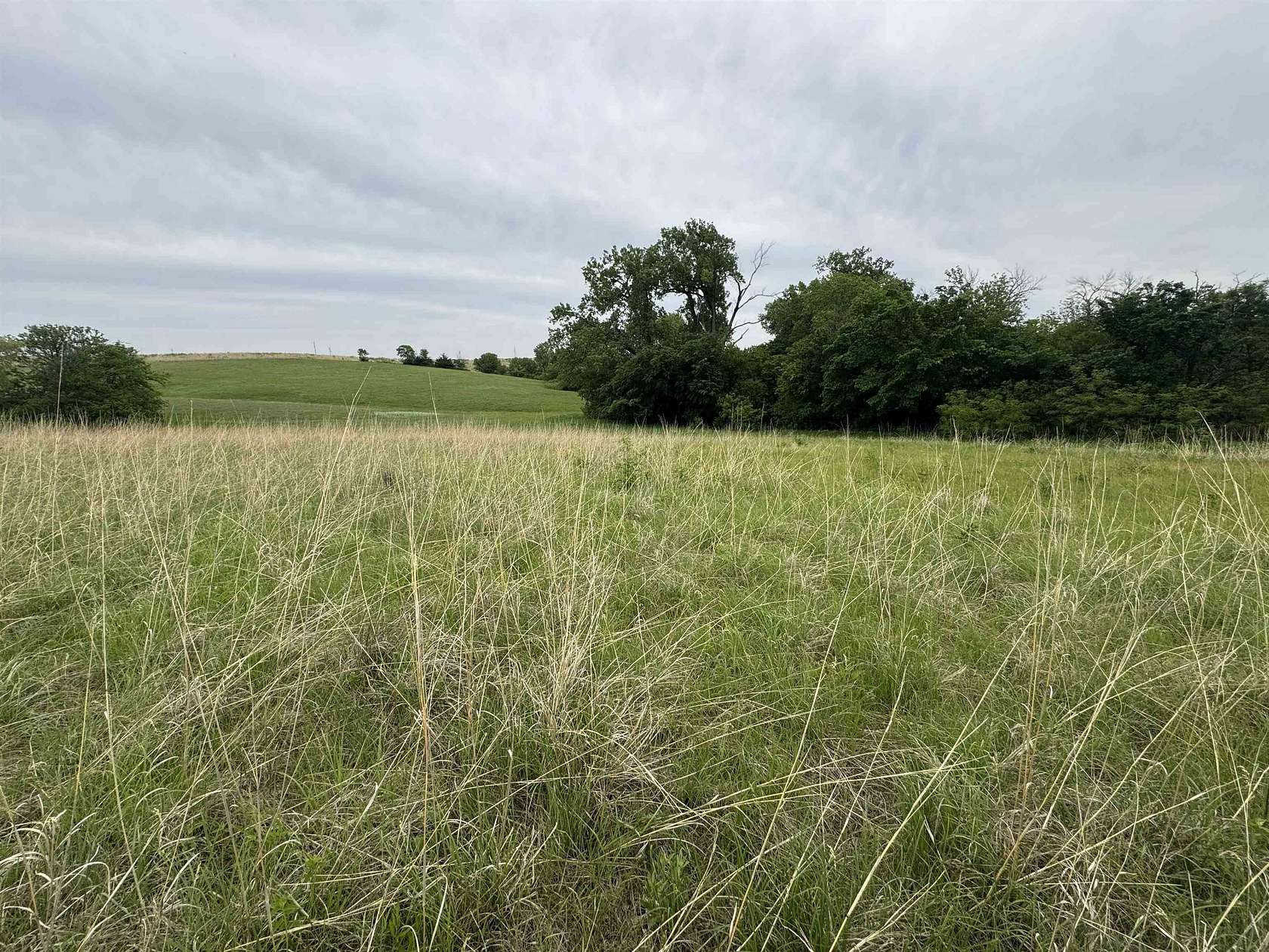 160 Acres of Land for Sale in Weston, Nebraska