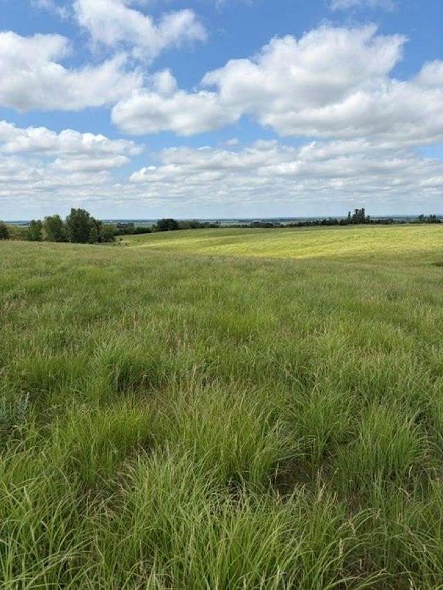59.3 Acres of Recreational & Residential Land for Sale in David City, Nebraska