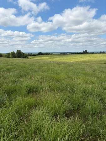 59.3 Acres of Recreational & Residential Land for Sale in David City, Nebraska