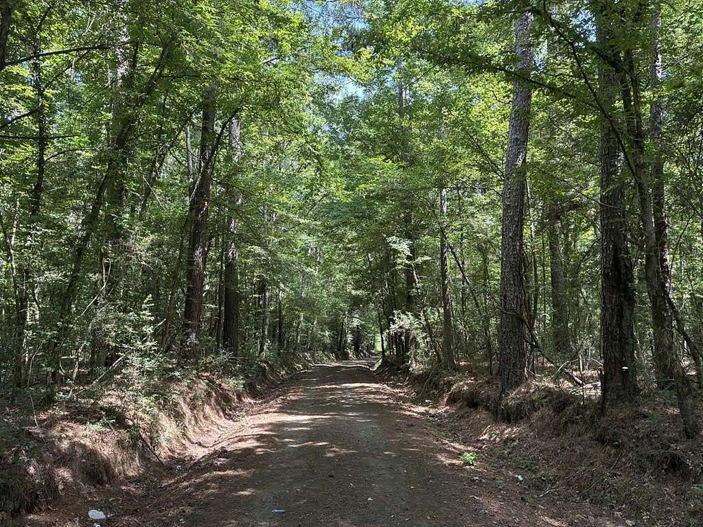 2.48 Acres of Land for Sale in Shelbyville, Texas