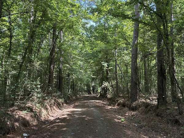 2.48 Acres of Land for Sale in Shelbyville, Texas