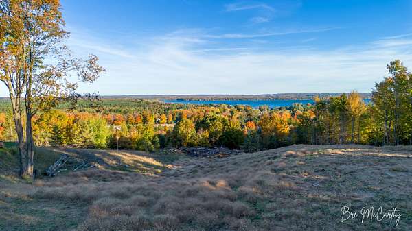 2.19 Acres of Land for Sale in Bear Lake, Michigan