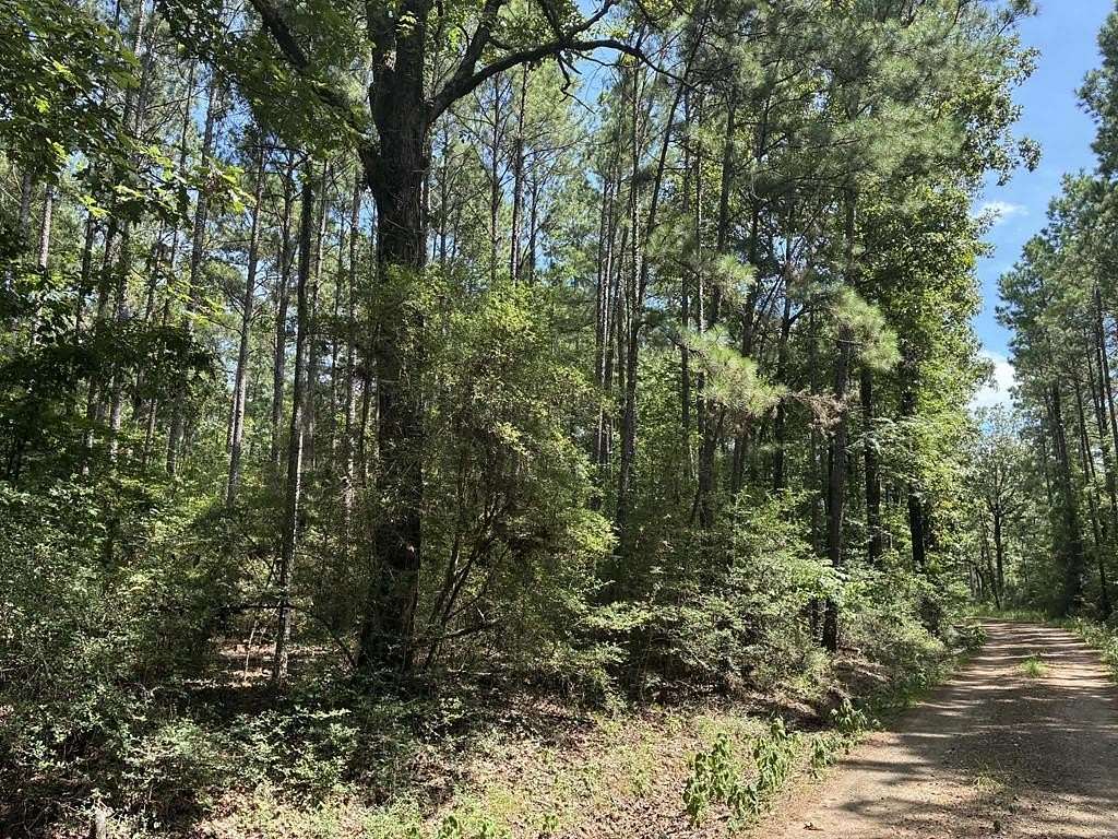 4.31 Acres of Land for Sale in Shelbyville, Texas