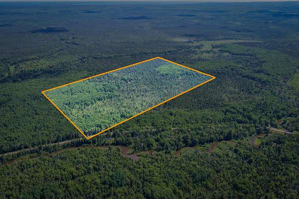 80 Acres of Recreational Land for Sale in Hulbert, Michigan