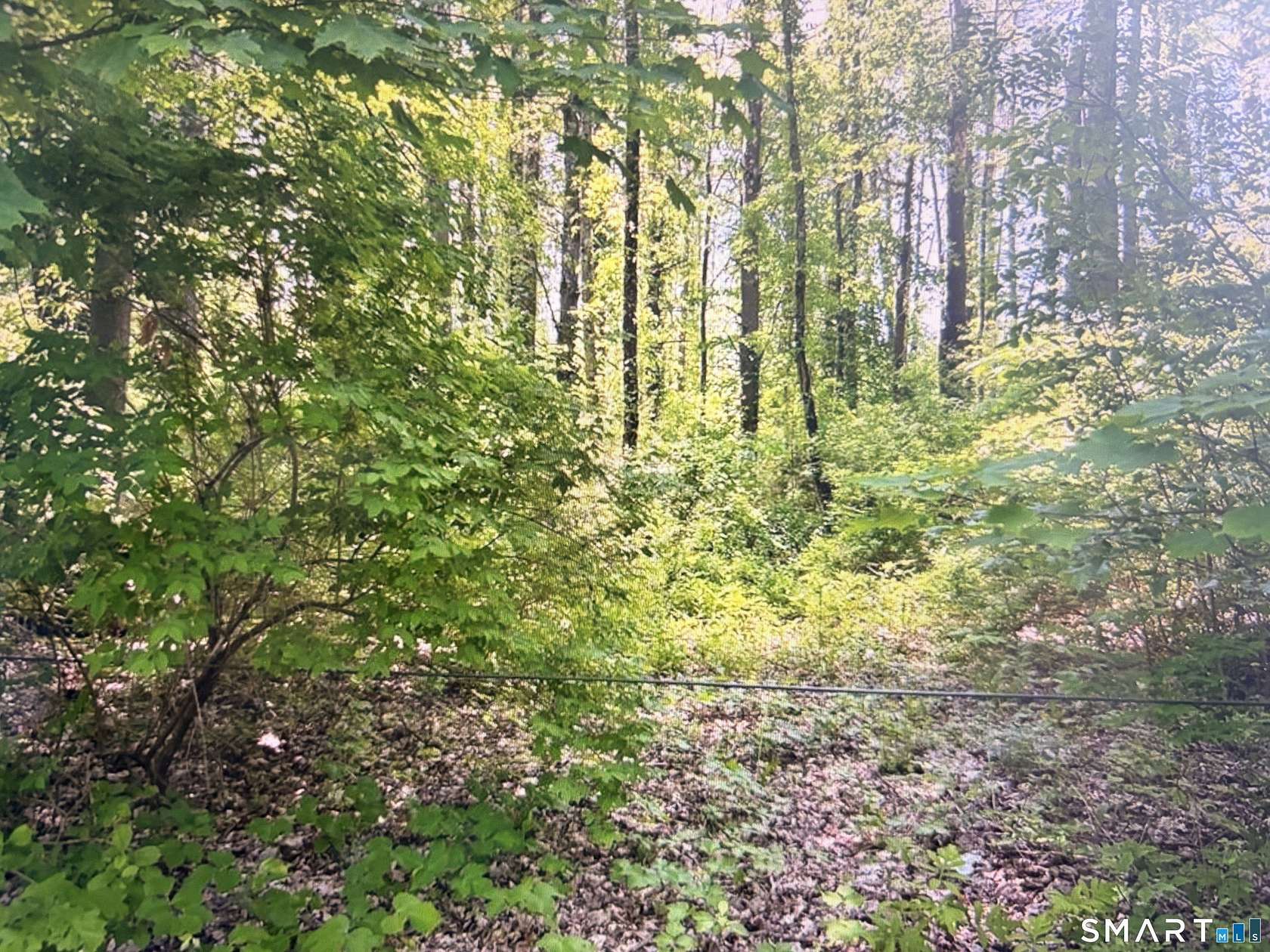4 Acres of Residential Land for Sale in Canaan, Connecticut