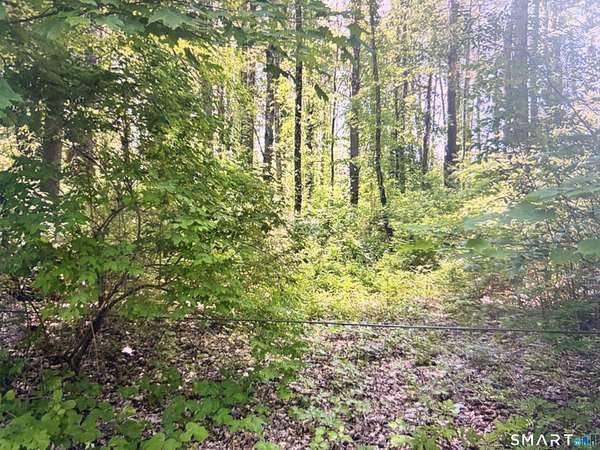 4 Acres of Residential Land for Sale in Canaan, Connecticut