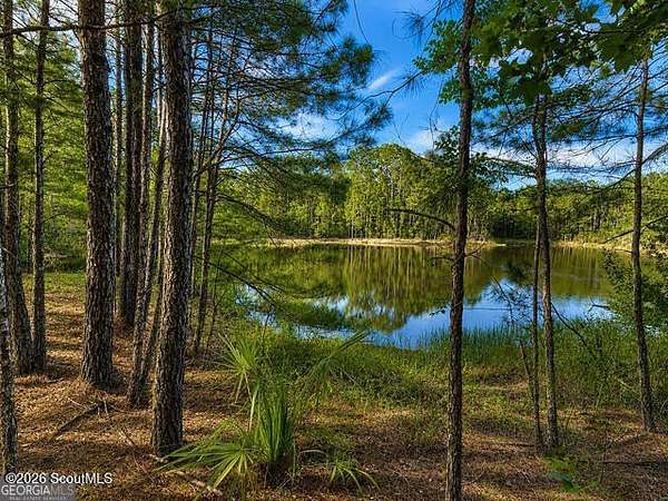 7.5 Acres of Residential Land for Sale in Waverly, Georgia