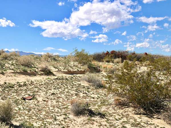 1.55 Acres of Residential Land for Sale in Twentynine Palms, California
