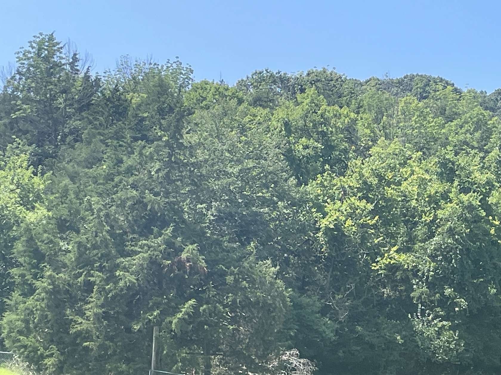 5 Acres of Residential Land for Sale in Whites Creek, Tennessee