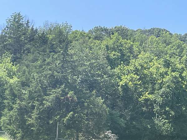 5 Acres of Residential Land for Sale in Whites Creek, Tennessee