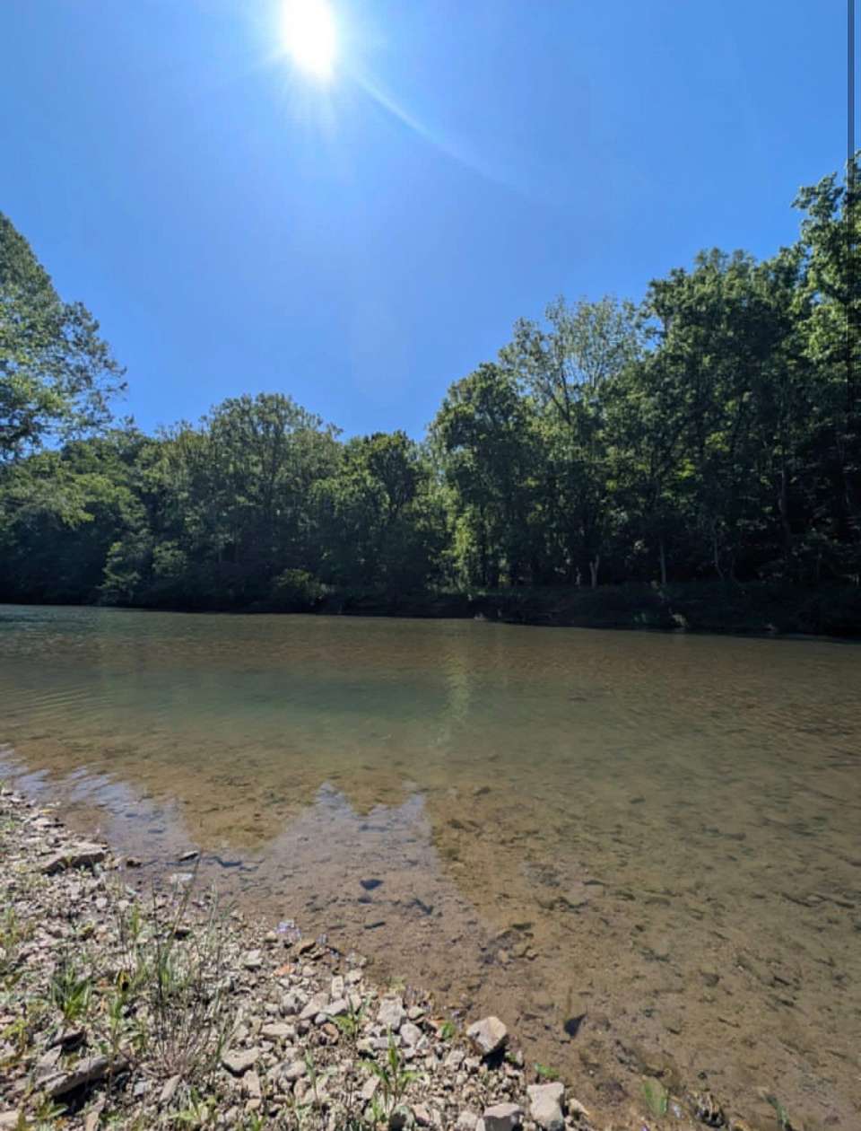 35.9 Acres of Land with Home for Sale in Primm Springs, Tennessee
