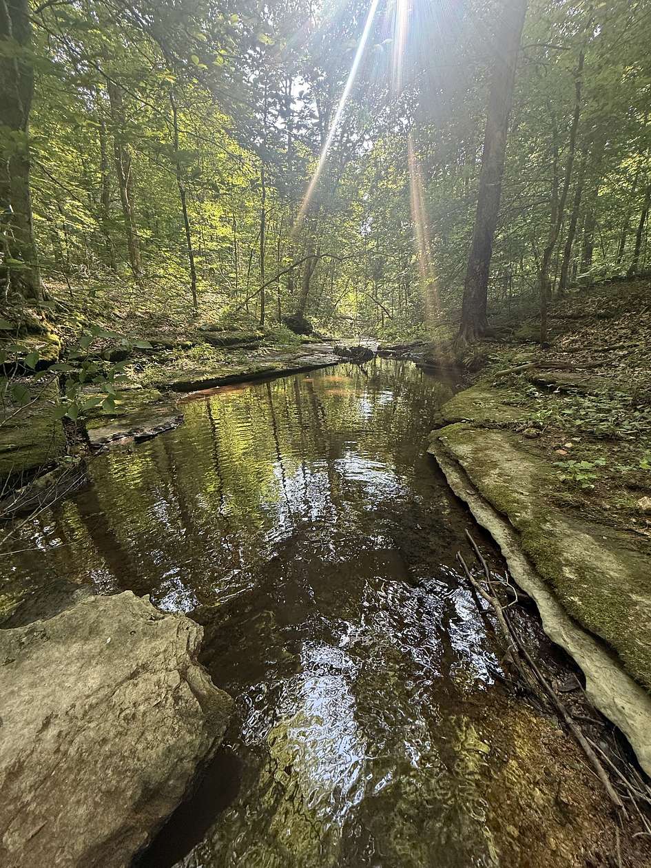 390 Acres of Recreational Land for Sale in Waynesboro, Tennessee