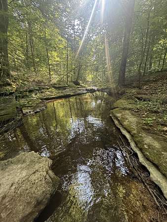 390 Acres of Recreational Land for Sale in Waynesboro, Tennessee