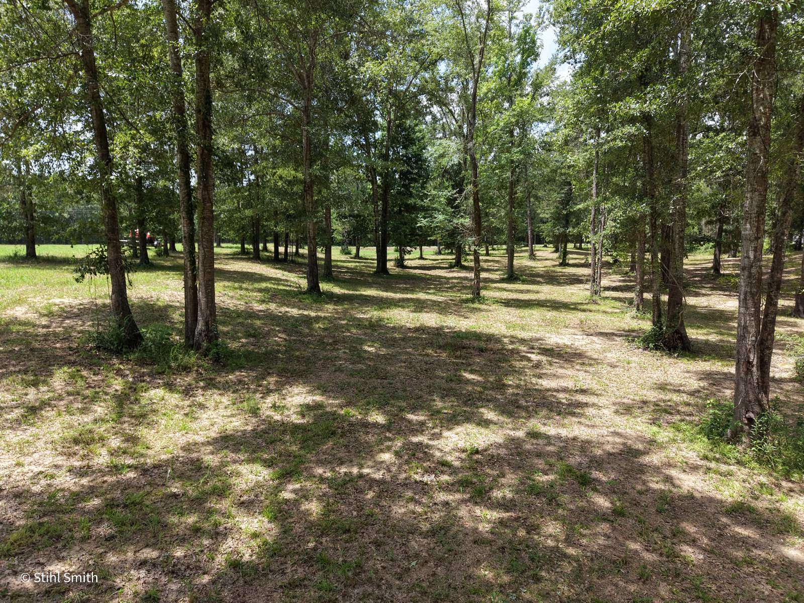 6.7 Acres of Residential Land for Sale in Kelly, Louisiana