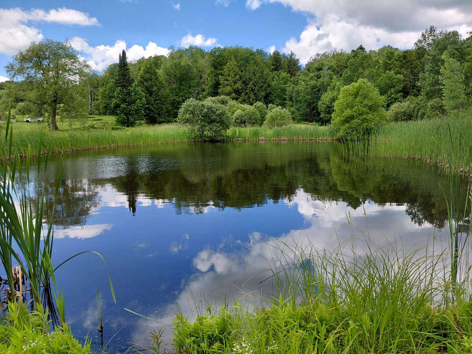 8.8 Acres of Mixed-Use Land for Sale in Steuben Town, New York