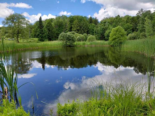 8.8 Acres of Mixed-Use Land for Sale in Steuben Town, New York