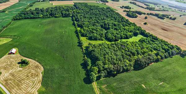 66.7 Acres of Land for Sale in Springfield, Tennessee