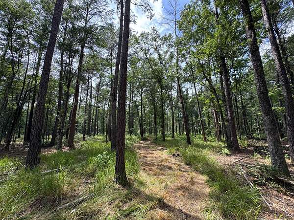 25 Acres of Land for Sale in Branchville, South Carolina