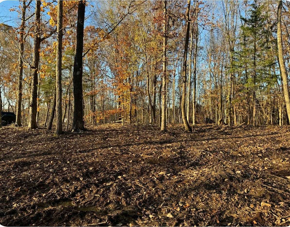 16 Acres of Land for Sale in Bumpus Mills, Tennessee