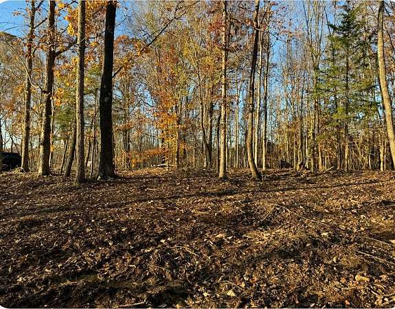 16 Acres of Land for Sale in Bumpus Mills, Tennessee